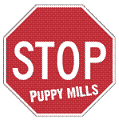 I Hate Puppy Mills