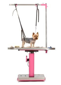 Dog Grooming Tables