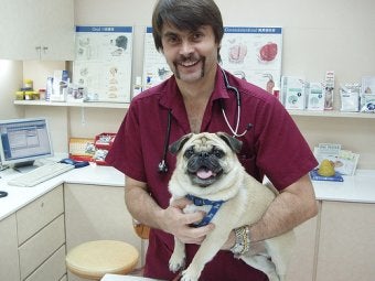 Dog Health Care