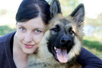 German Shepherd Guard Dogs