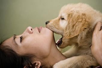 ... Puppy From Biting Nipping &amp; Mouthing | Solve Puppy Biting Problems