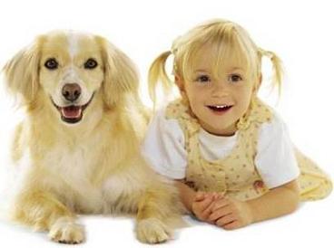 Dog Breed Pictures