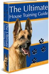 puppy house training