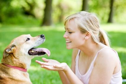 How To Make A Dog Food Storage Container