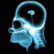 Andy's Avatar Andy's Avatar