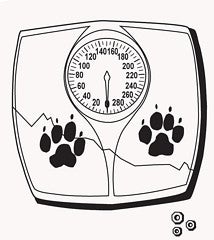 dog weight loss treatment