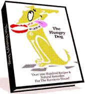 The Hungry Dog
