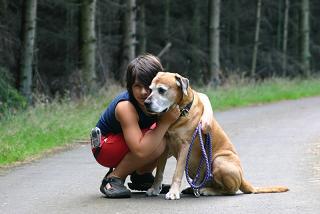 sit obedience training command